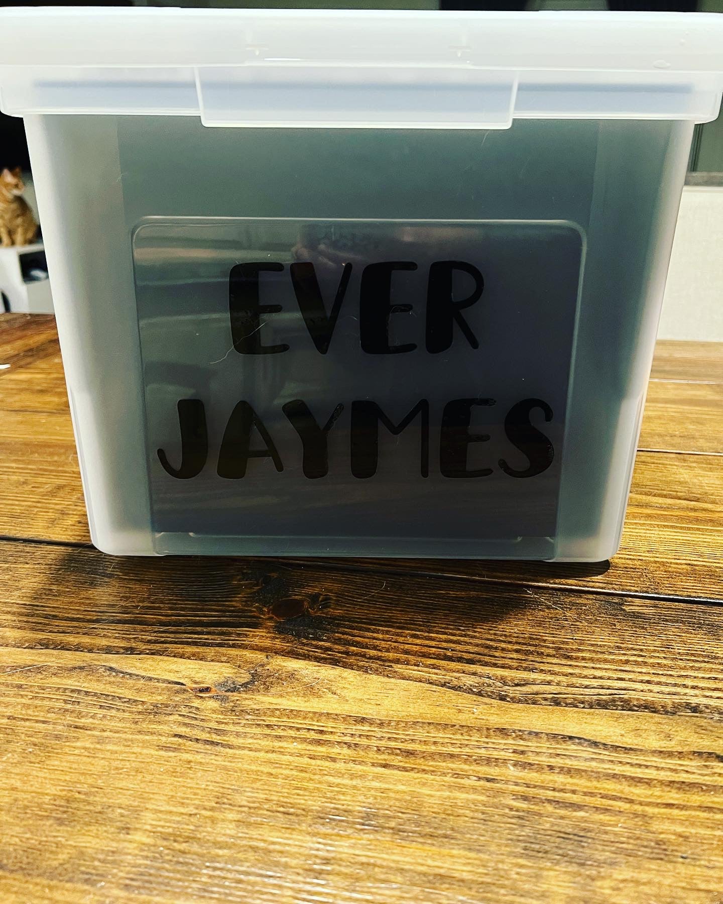 Custom Milestone/Keepsake Bin